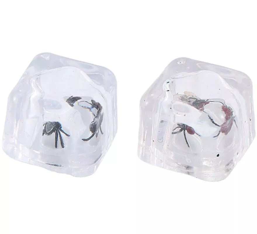 2 Cubitos de Hielo con Mosca