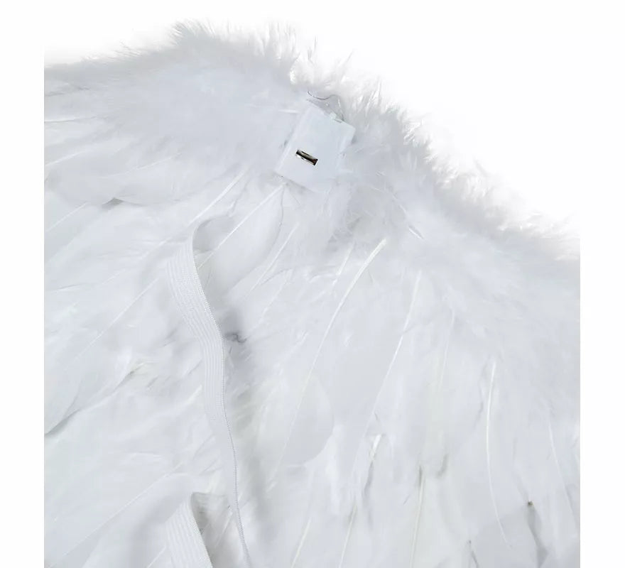 Alas de Plumas blanca con luz de 80x40 cm