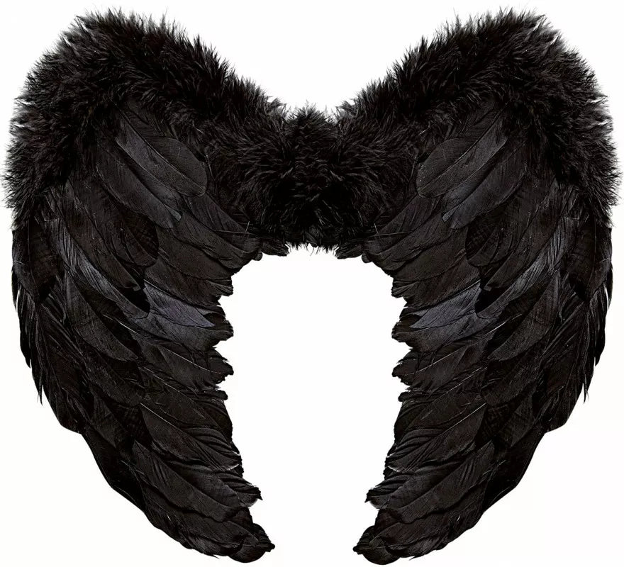Translation missing: pt-PT.Alas de Plumas Negras de 50x40 cm