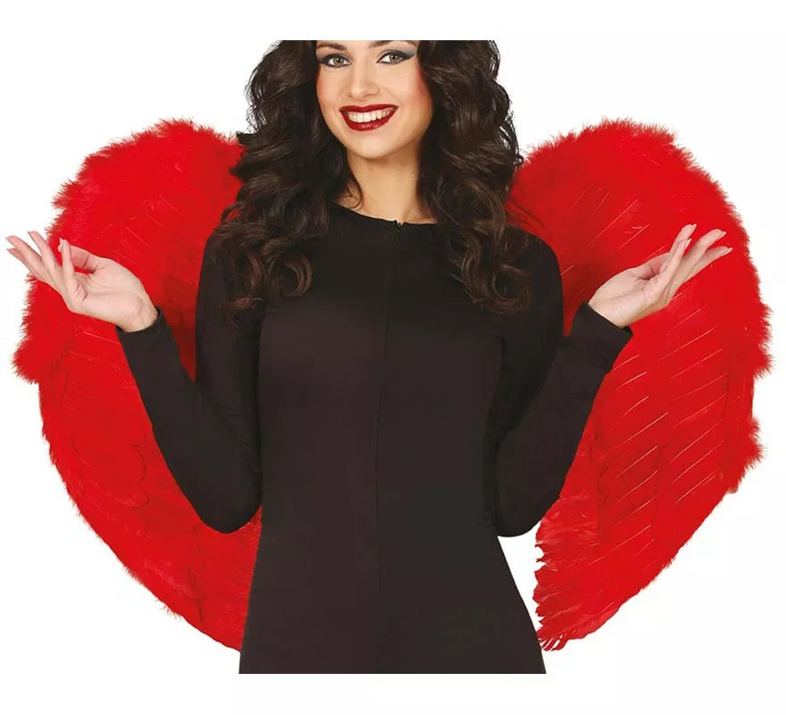 Alas de Plumas rojas 80x55 cm