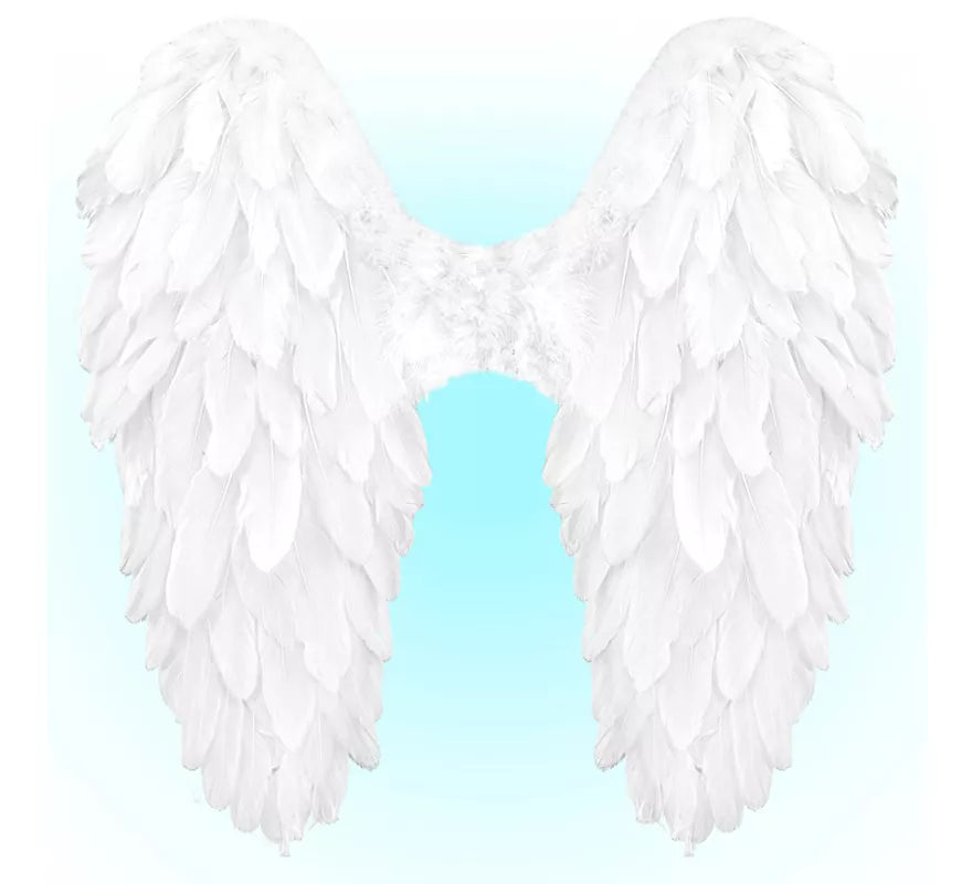 Translation missing: pt-PT.Alas Plegables de Plumas de 50x50 cm en varios colores