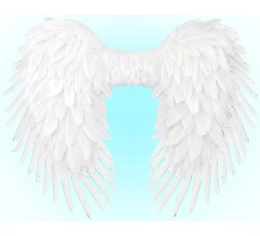 Translation missing: pt-PT.Alas Plegables de Plumas de 80x60 cm en varios colores
