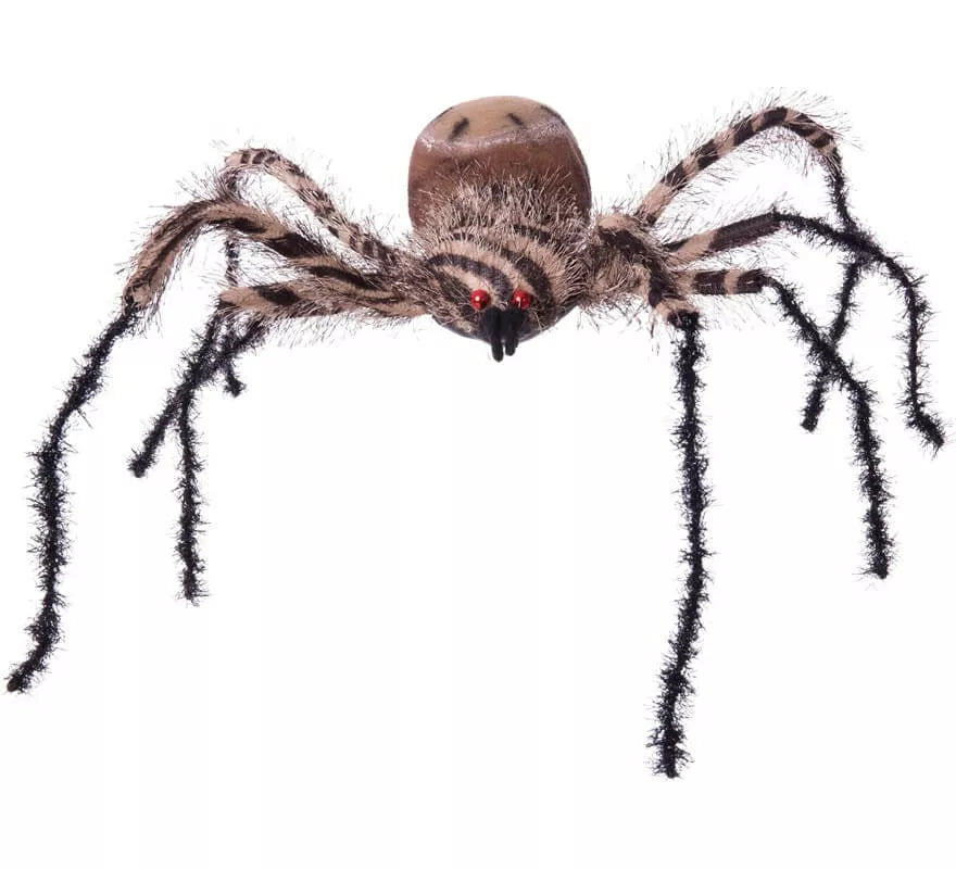 Translation missing: pt-PT.Araña Cebra Grande de 54x44x10 cm