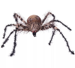Aranha pequena da zebra 38x34x8 cm