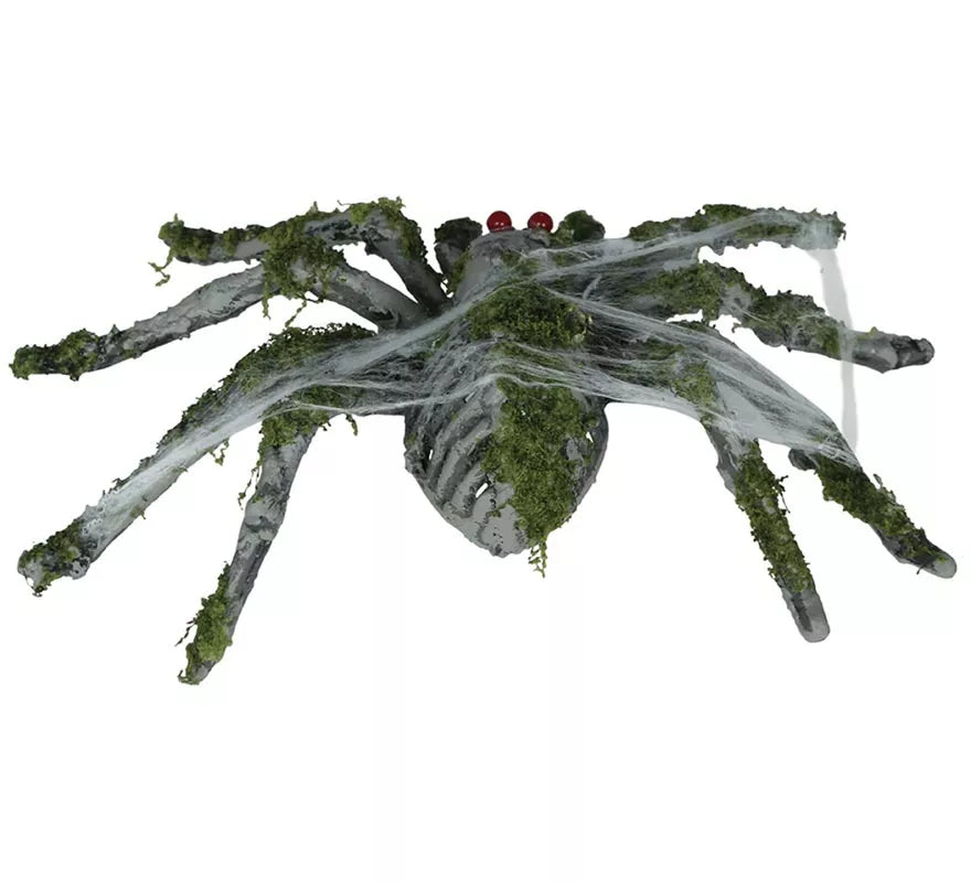 Araña con Musgo de 22 cm