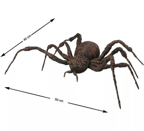 Araña Marrón de 50x40 cm