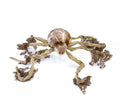 Araña marrón de 90x20 cm