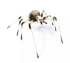 Aranha de pernas compridas 6X58X17 cm