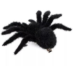 Aranha Peluda