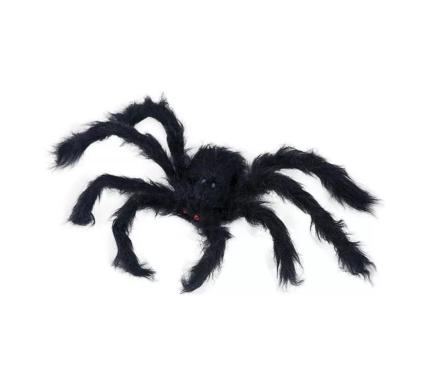 Translation missing: pt-PT.Araña Peluda negra de 50 cm