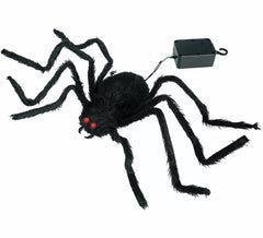 Aranha sobe e cai assustada com luz, som e movimento de 80 cm