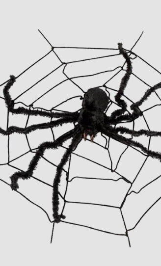 Aranhas e teias de aranha
