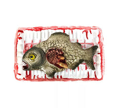 Bandeja de Piranha Decomposta