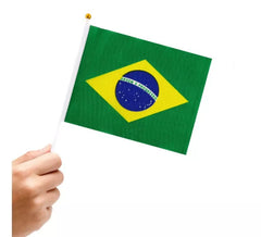Bandeira do Brasil com Pega 14x21 cm