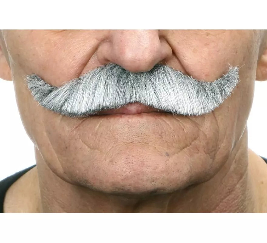 Translation missing: pt-PT.Bigote de Inglés canoso