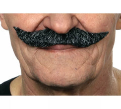 Bigode inglês preto cinzento