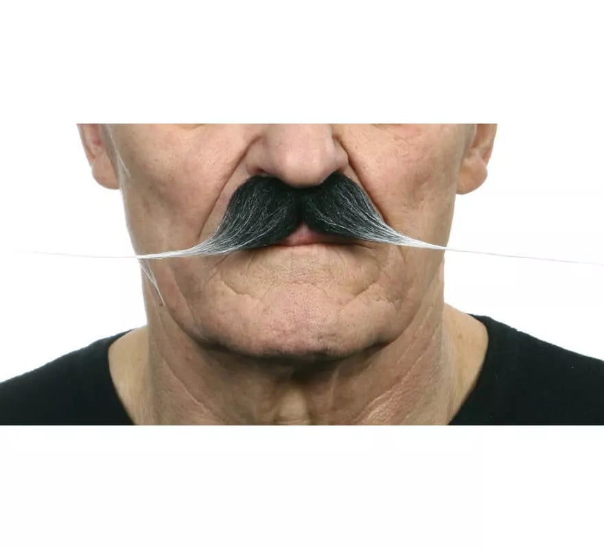 Translation missing: pt-PT.Bigote grande canoso