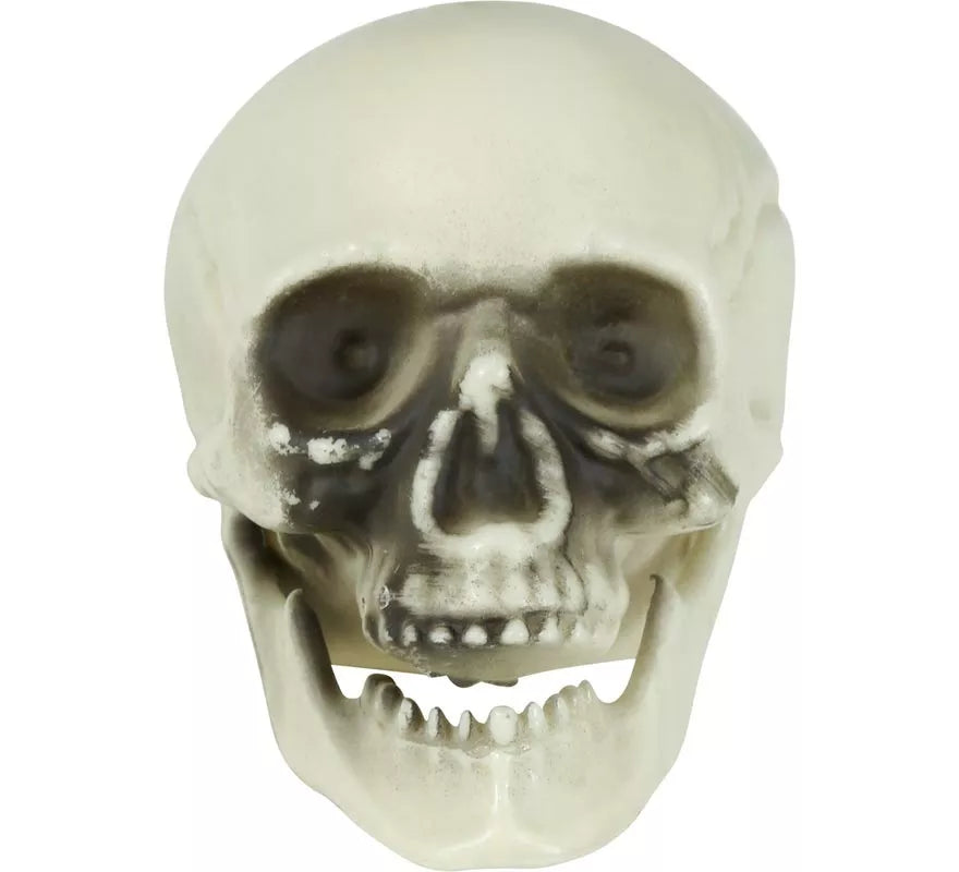 Translation missing: pt-PT.Bolsa 6 Calaveras de 6 cm
