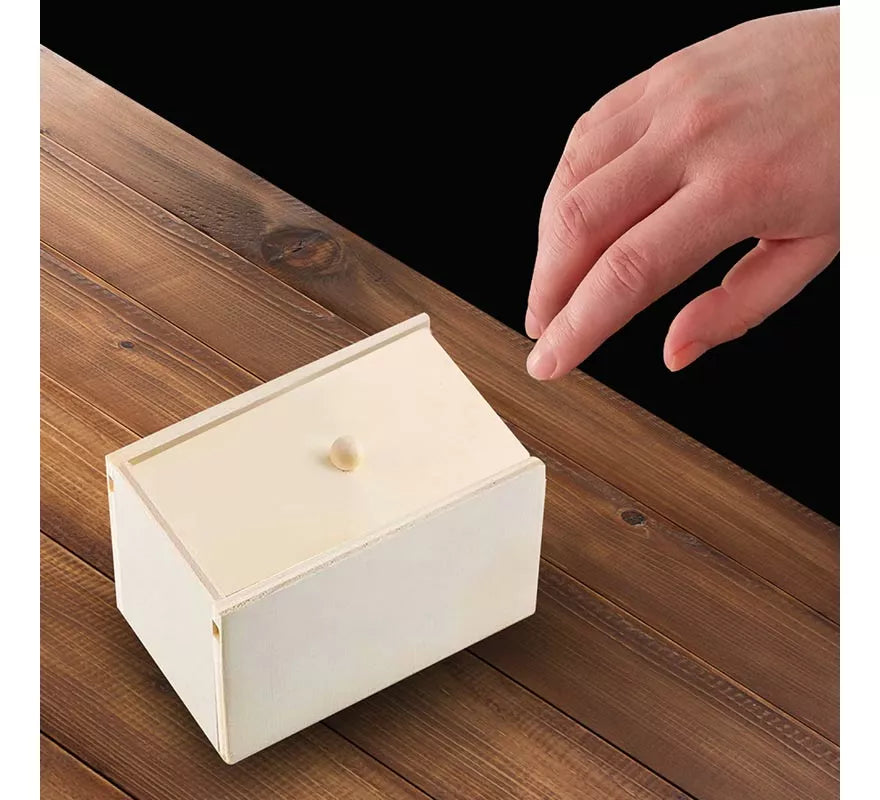 Translation missing: pt-PT.Caja de Madera con Araña de Broma