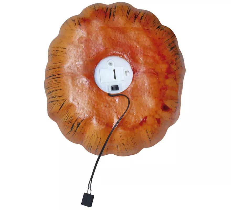 Translation missing: pt-PT.Calabaza 20 cms
