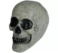 Crânio 20 cm