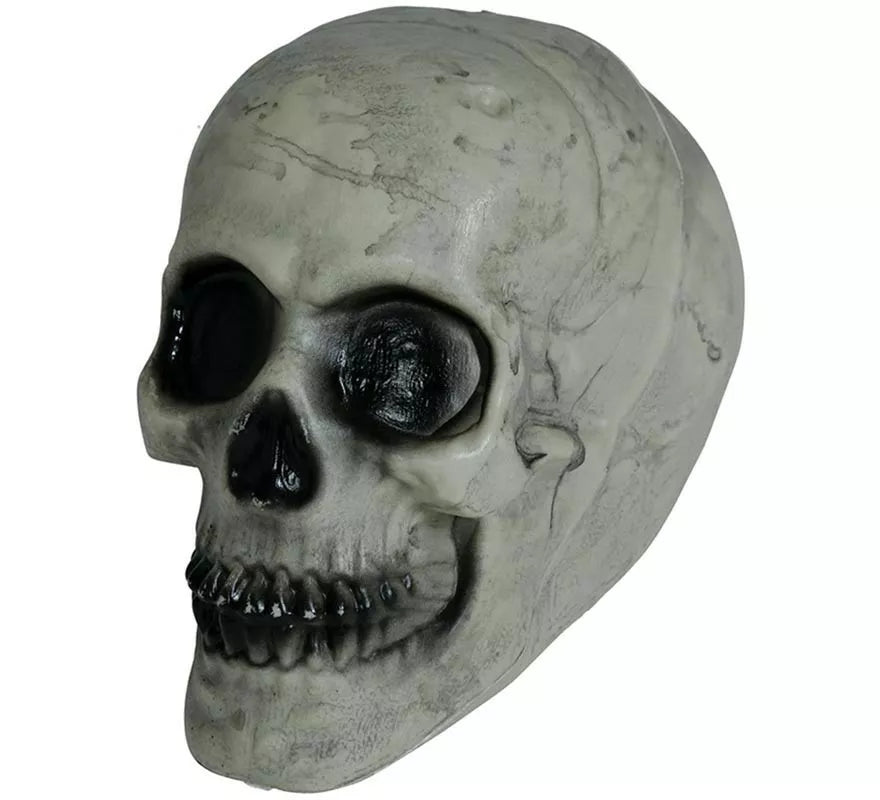 Translation missing: pt-PT.Calavera 20 cm