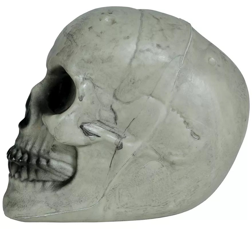 Translation missing: pt-PT.Calavera 20 cm