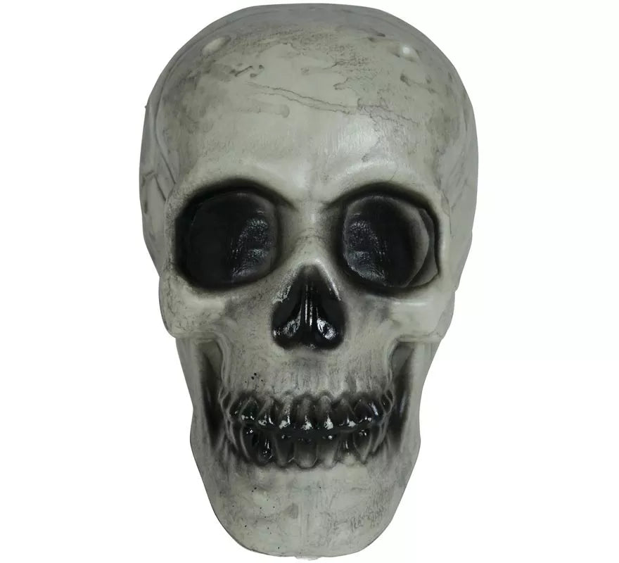 Translation missing: pt-PT.Calavera 20 cm