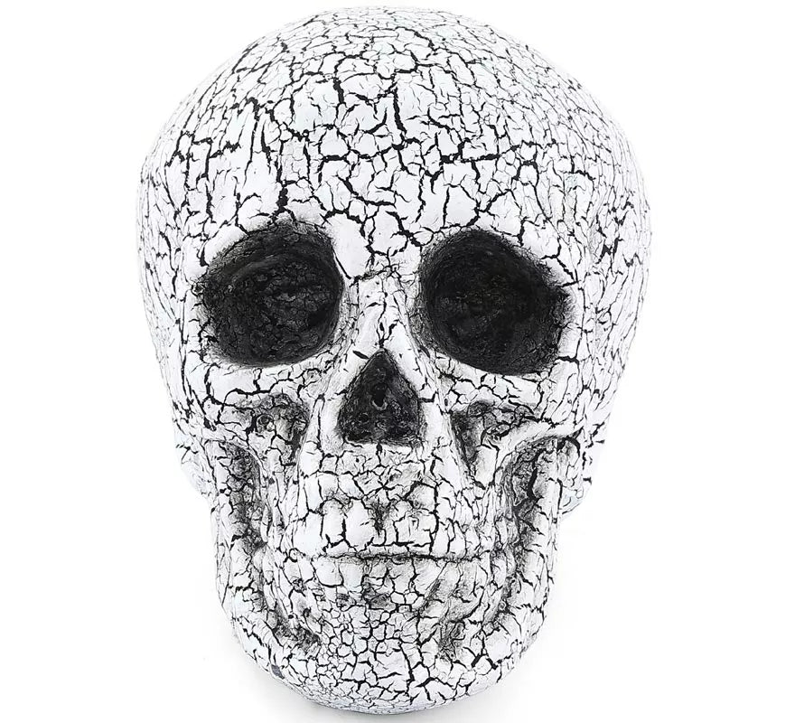 Translation missing: pt-PT.Calavera Agrietado de 20x15 cm