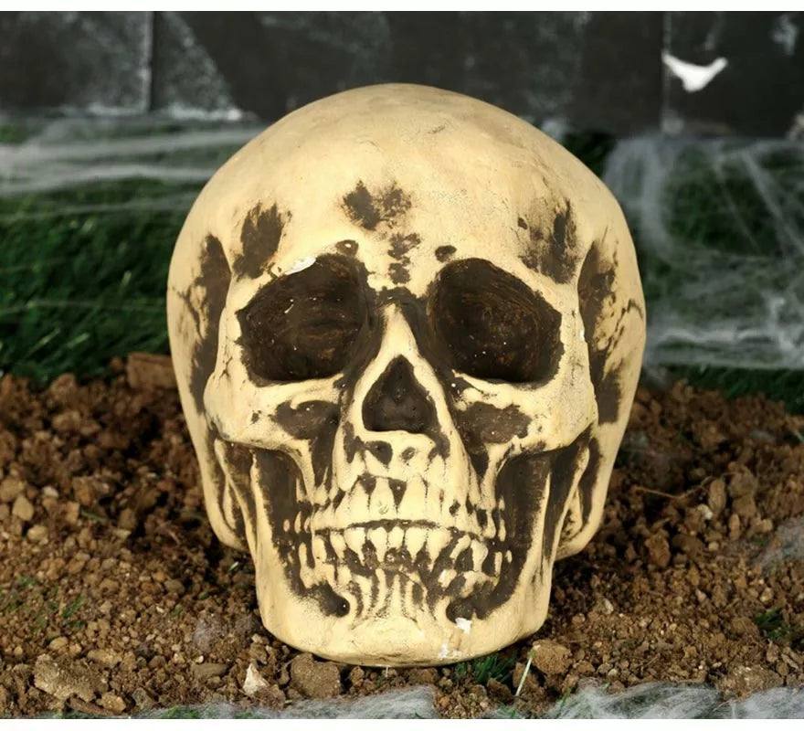 Translation missing: pt-PT.Calavera Amarillenta 17 cm