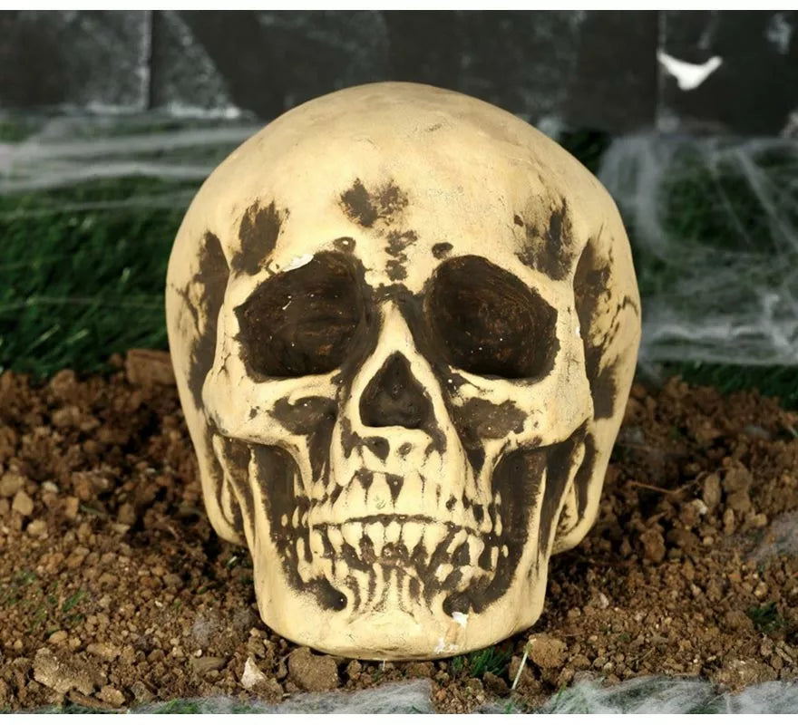 Translation missing: pt-PT.Calavera Amarillenta 17 cm