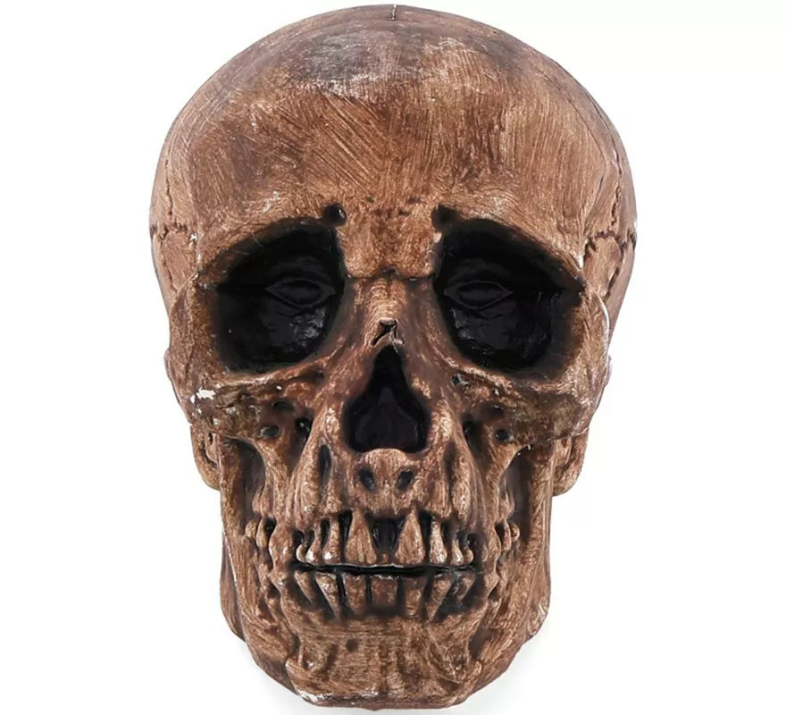 Translation missing: pt-PT.Calavera Bronce de 16 cm