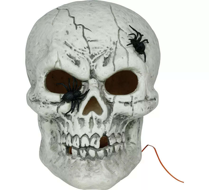 Translation missing: pt-PT.Calavera con Arañas con Luz de 35 cm