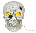 Calavera con Arañas con Luz de 35 cm