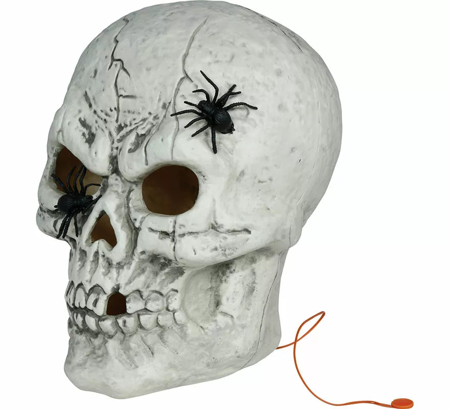 Translation missing: pt-PT.Calavera con Arañas con Luz de 35 cm