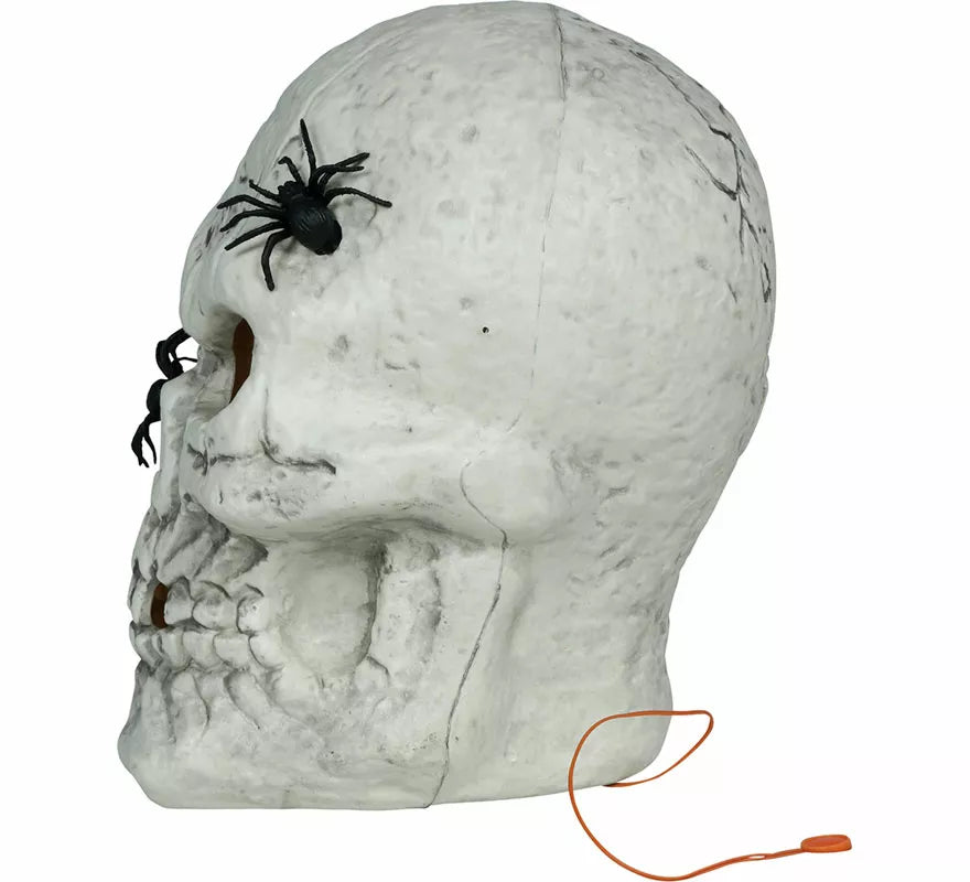 Translation missing: pt-PT.Calavera con Arañas con Luz de 35 cm