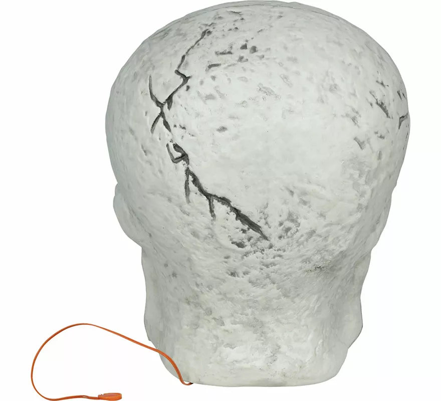 Translation missing: pt-PT.Calavera con Arañas con Luz de 35 cm