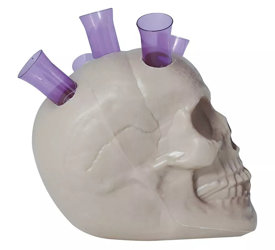 Translation missing: pt-PT.Calavera con Chupitos 20 cms