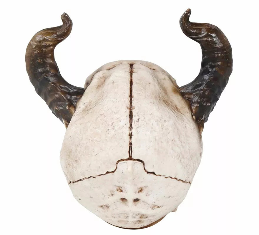 Translation missing: pt-PT.Calavera con Cuernos de 20 cm