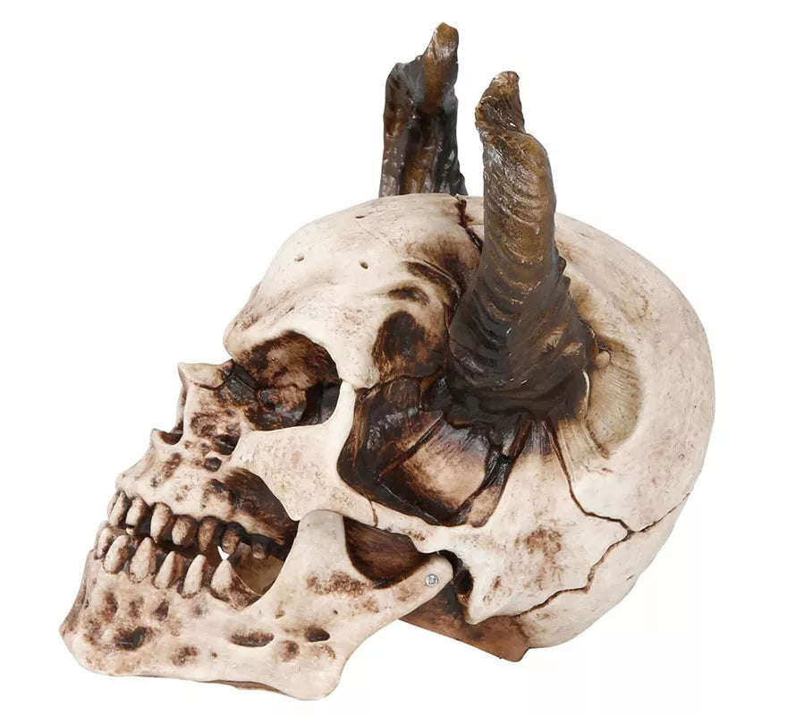 Translation missing: pt-PT.Calavera con Cuernos de 20 cm