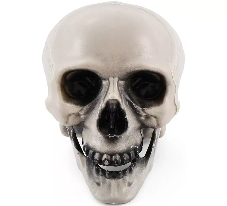 Translation missing: pt-PT.Calavera con Mandíbula con Movimiento