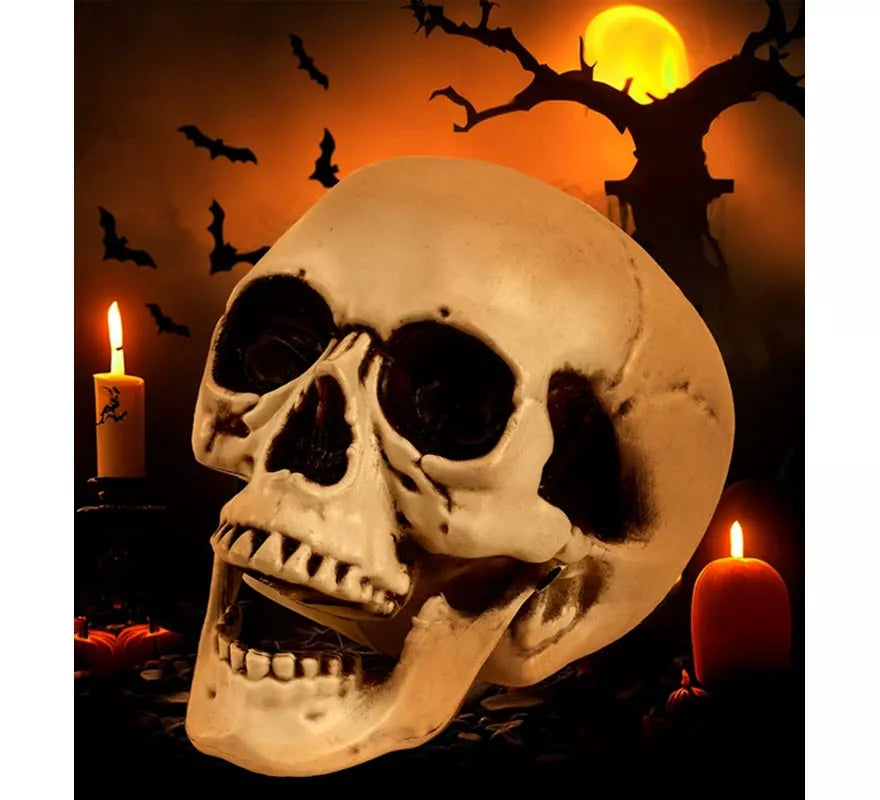 Translation missing: pt-PT.Cráneo o Calavera con Mandíbula Móvil de 12 cm