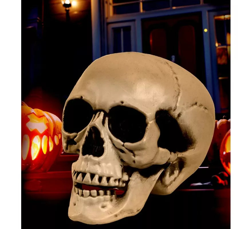 Translation missing: pt-PT.Cráneo o Calavera con Mandíbula Móvil de 12 cm
