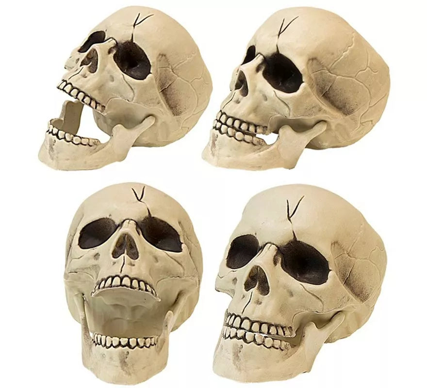 Translation missing: pt-PT.Calavera con Mandíbula y Movimiento de Plástico de 21 cm