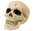Calavera con Mandíbula y Movimiento de Plástico de 21 cm