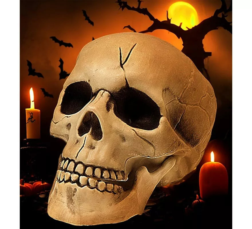 Translation missing: pt-PT.Calavera con Mandíbula y Movimiento de Plástico de 21 cm