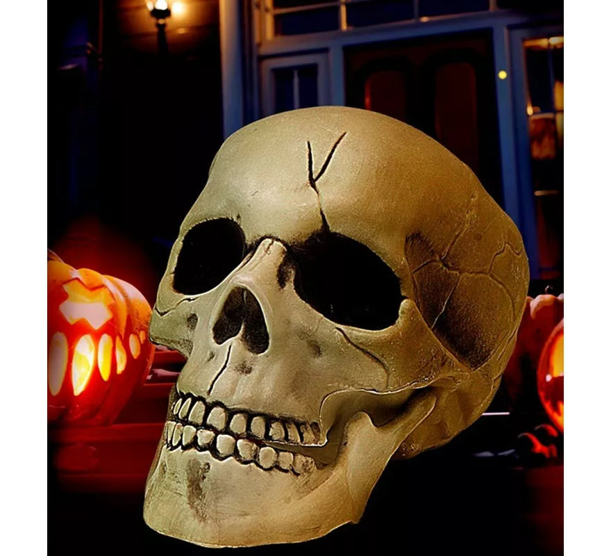 Translation missing: pt-PT.Calavera con Mandíbula y Movimiento de Plástico de 21 cm