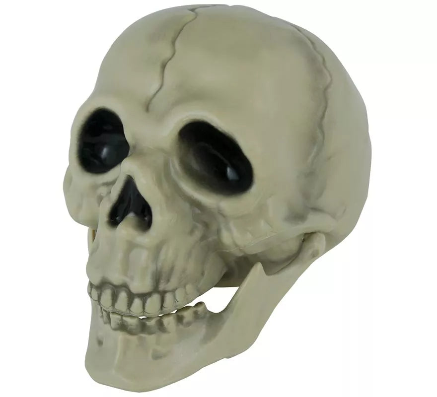 Translation missing: pt-PT.Calavera de 13 cm