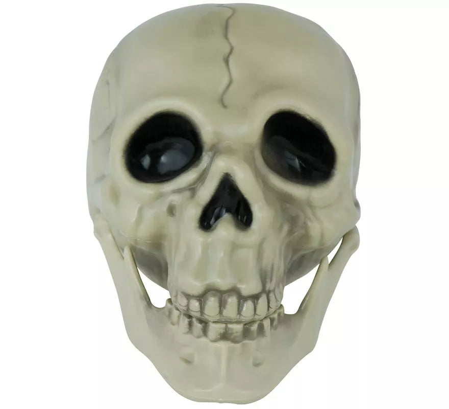 Translation missing: pt-PT.Calavera de 13 cm