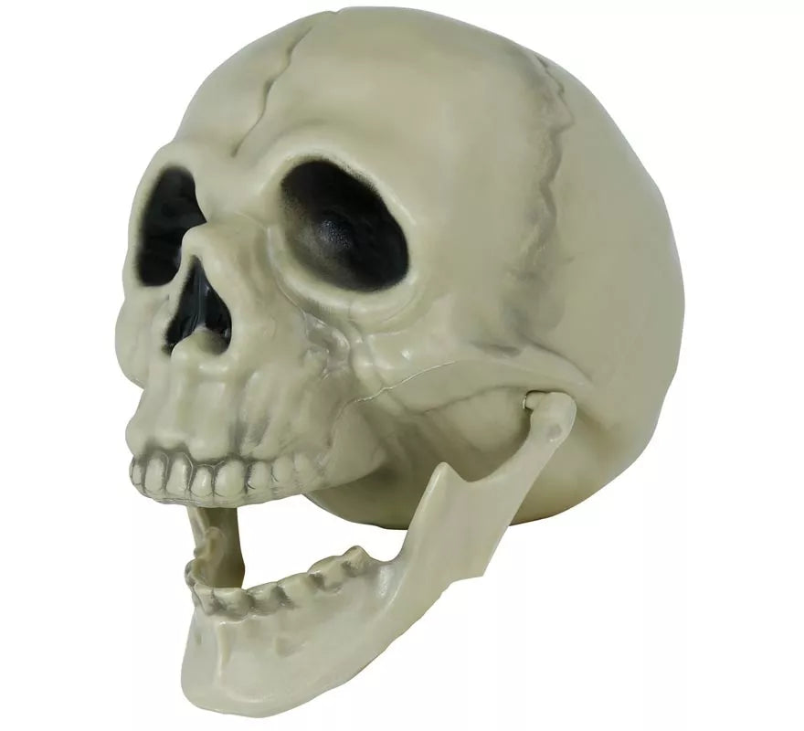 Translation missing: pt-PT.Calavera de 13 cm
